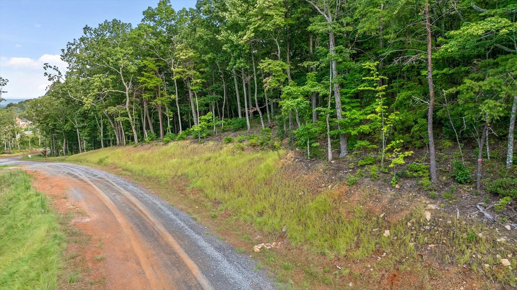 Lot 417 Shagbark Court