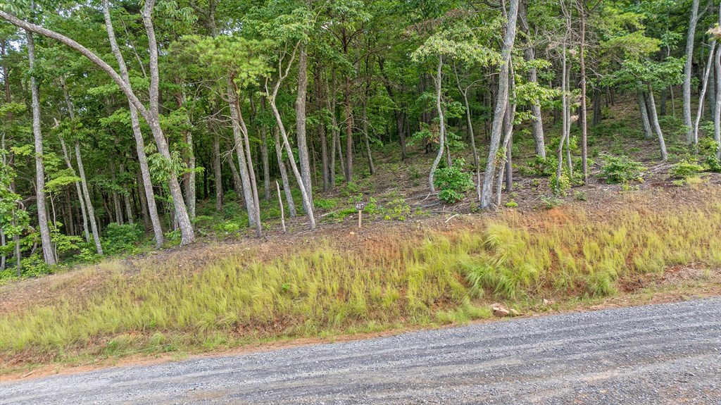 Lot 417 Shagbark Court