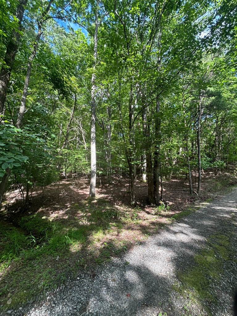 0 East Two Pond Lane