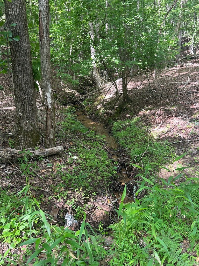 0 East Two Pond Lane