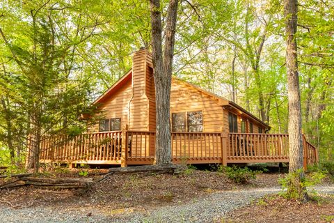 A home in Mineral Bluff