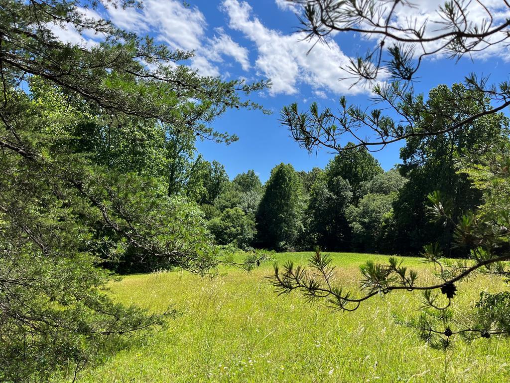 Lot 46A Licklog Ridge