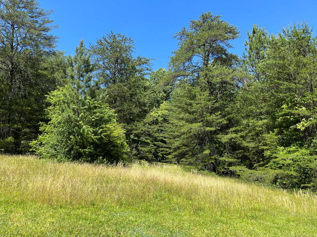 Lot 46A Licklog Ridge