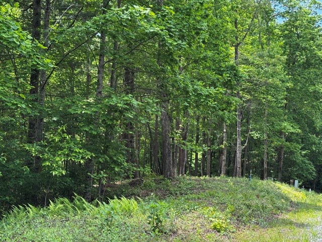 85 Cedar Road