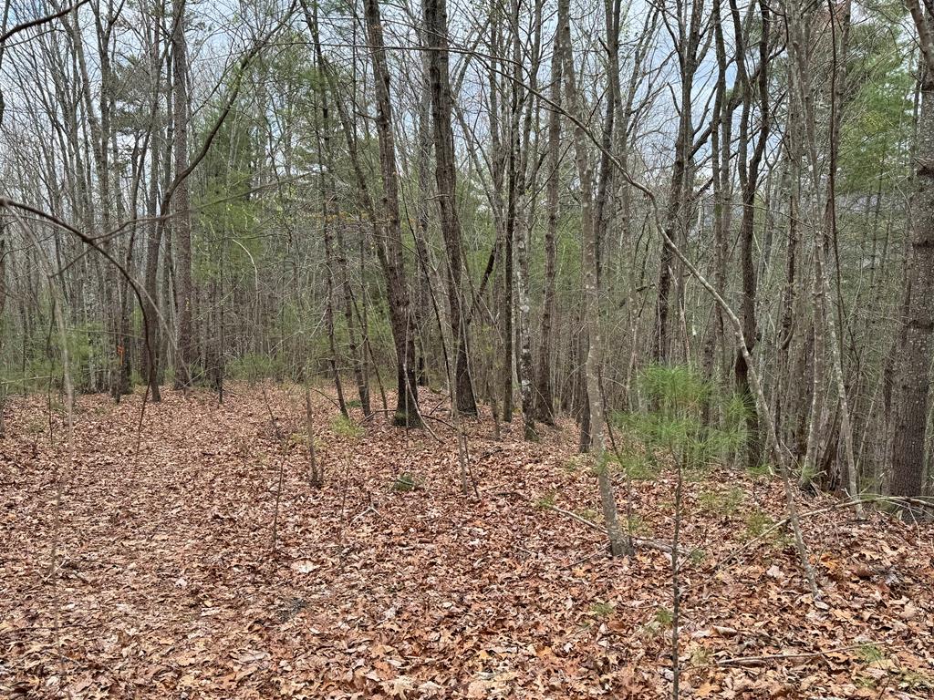 LOT A-D Harpers Creek Road