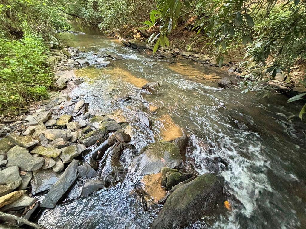 1720 Mt. Springer Road