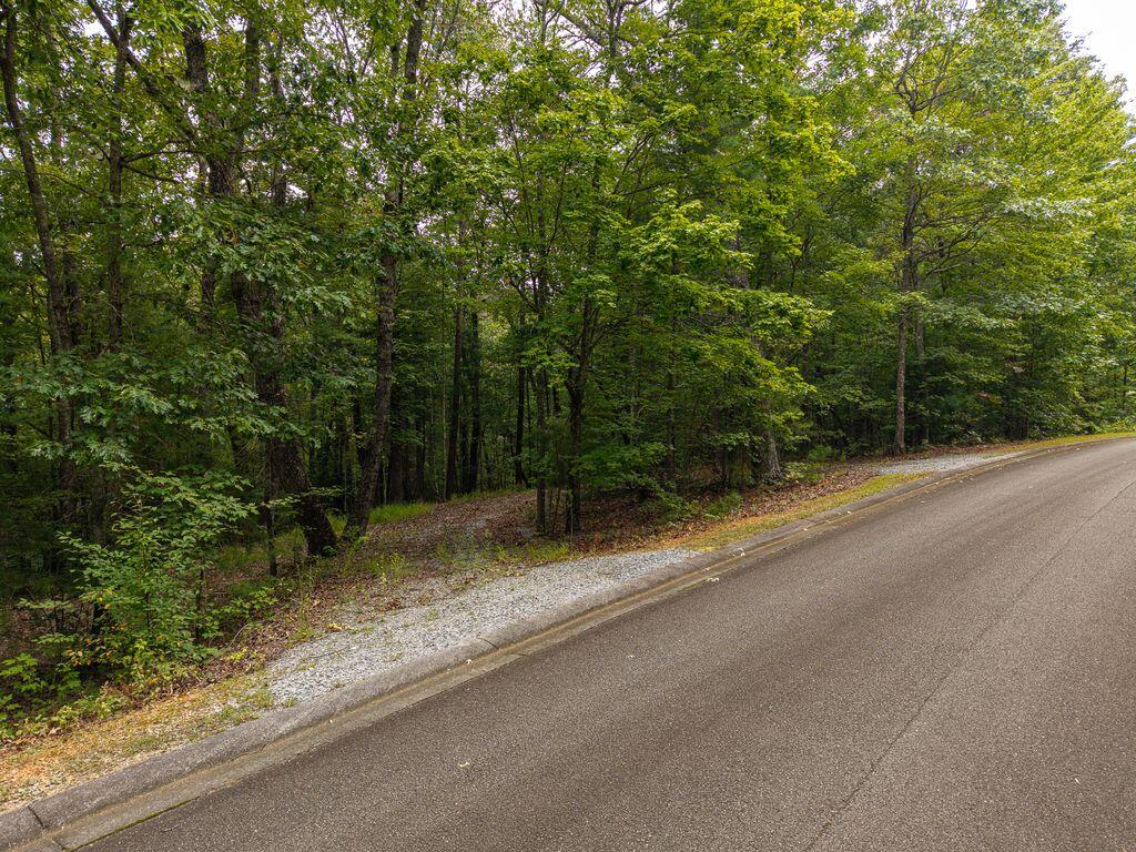 LOT 9-10 Abbott Mill Road