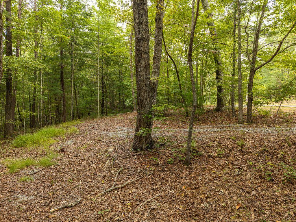 LOT 9-10 Abbott Mill Road