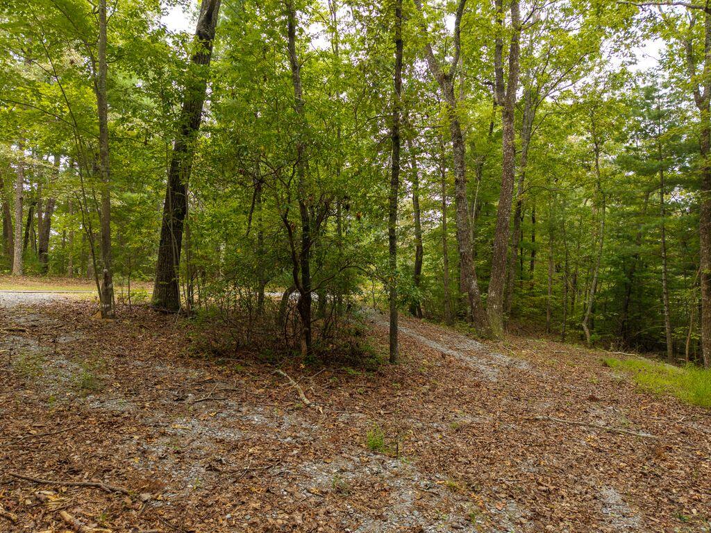 LOT 9-10 Abbott Mill Road