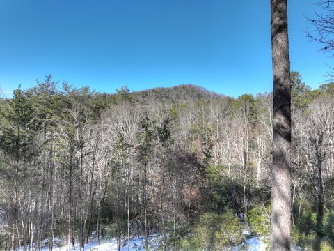 A home in Blue Ridge