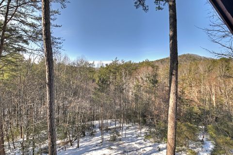 A home in Blue Ridge