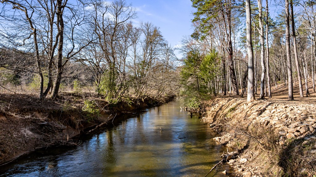 287 Cool Creek Trail