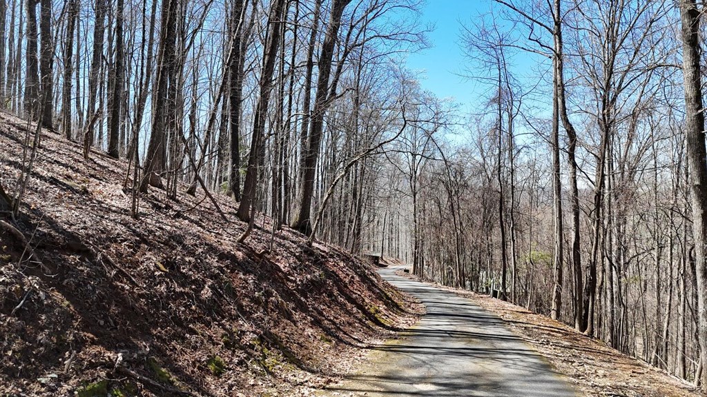 Lot 100 Timberline Acres