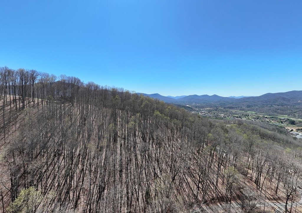 Lot 100 Timberline Acres