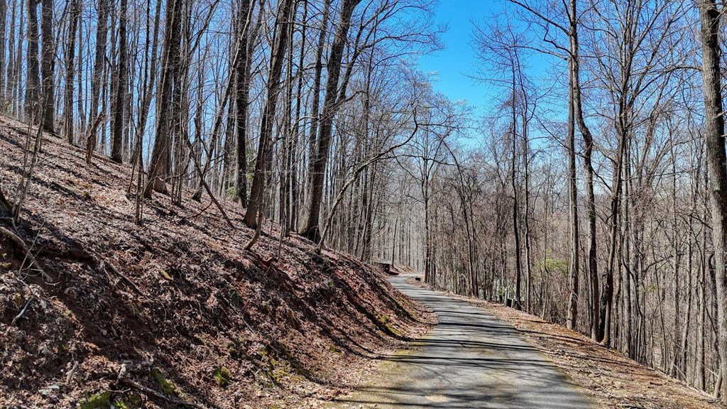 Lot 100 Timberline Acres