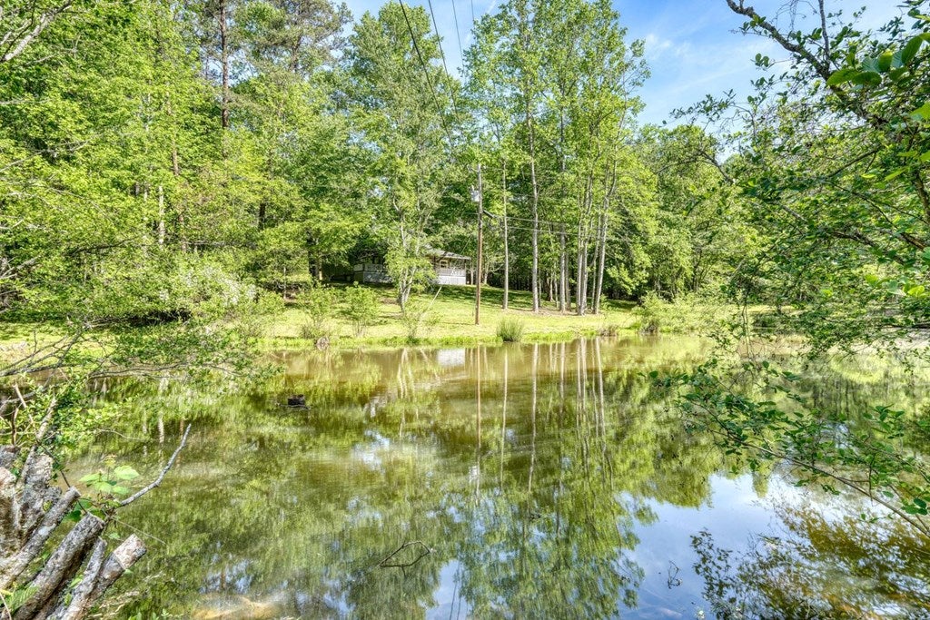 1493 Greasy Creek Road
