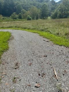 Tr 1 Rev Burch Cove Road