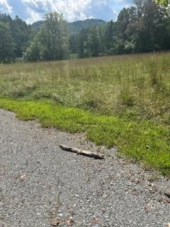 Tr 1 Rev Burch Cove Road