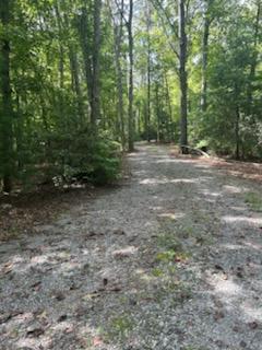 Tr 1 Rev Burch Cove Road