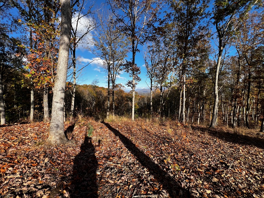 Lot 118 Winding Ridge