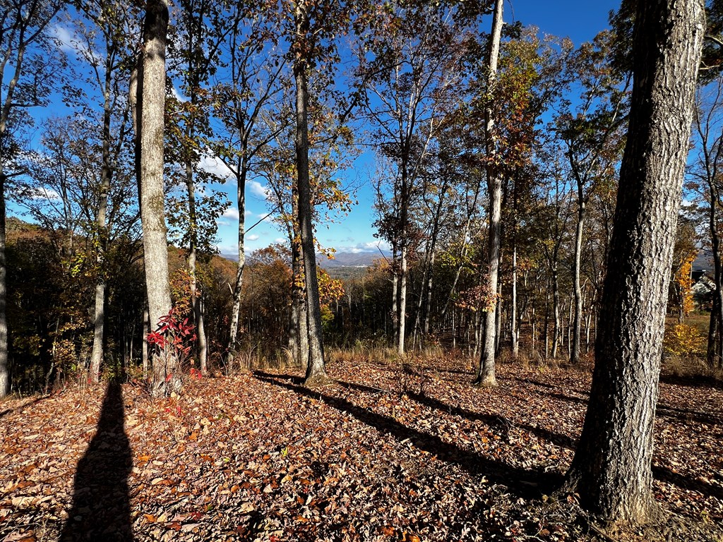 Lot 118 Winding Ridge