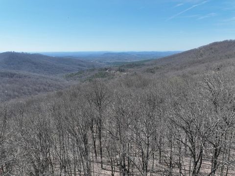 243 Dragon Trail Ellijay GA 30536