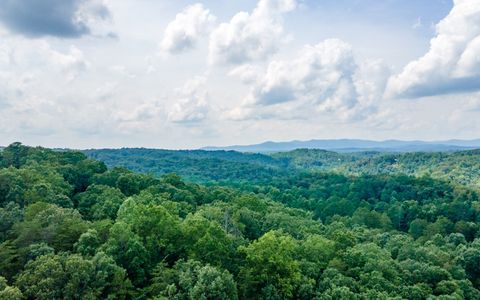 A home in Ellijay