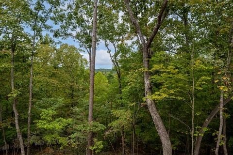 A home in Ellijay