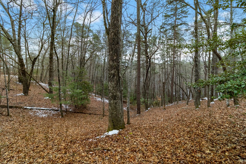 Lot 5 Curtis Ridge Road