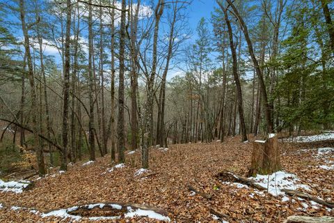 Lot 5 Curtis Ridge Road Blue Ridge GA 30513
