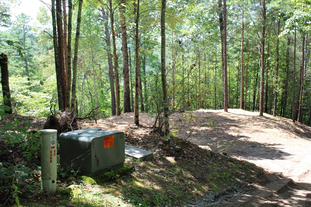 Lot 5J Eagle Fork Trail