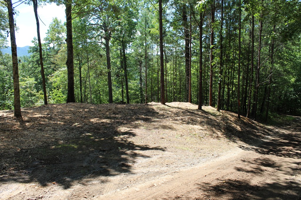 Lot 5J Eagle Fork Trail