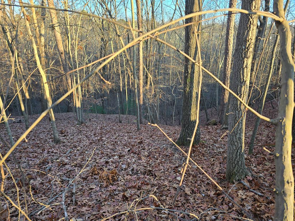 Lot 476 Riverview Drive