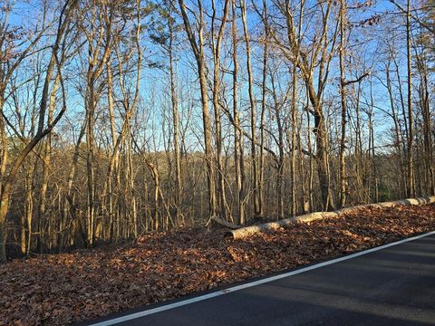 Lot 476 Riverview Drive Ellijay GA 30540