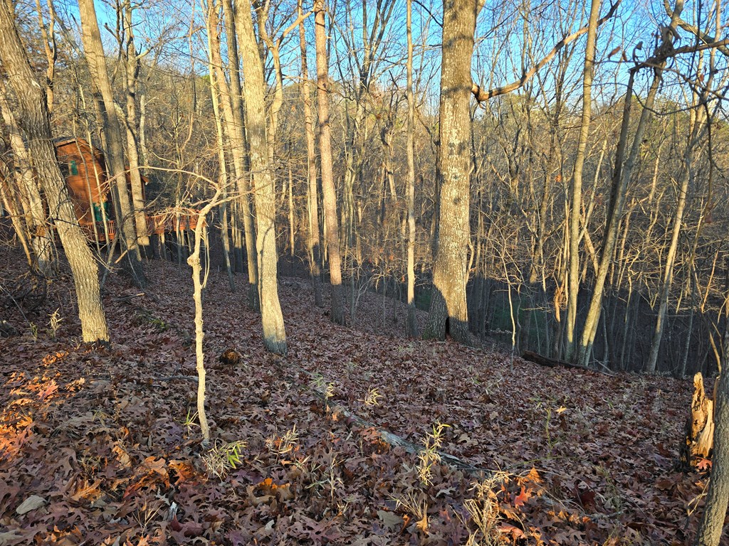 Lot 476 Riverview Drive