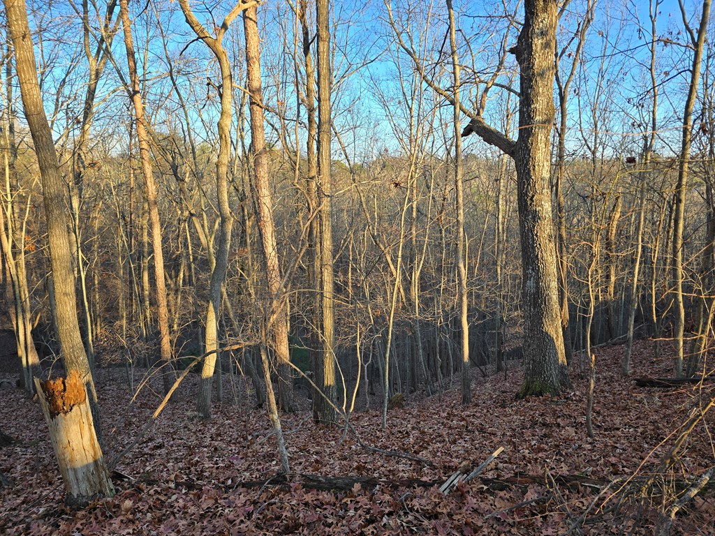 Lot 476 Riverview Drive