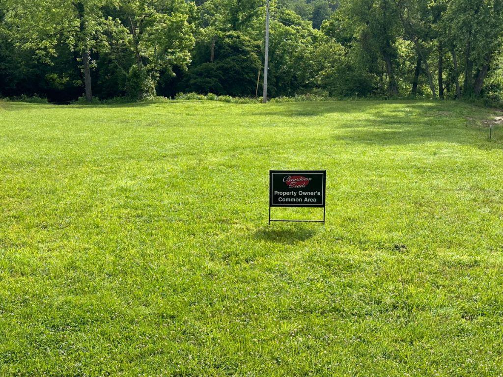 Lot 28 Brasstown Trails