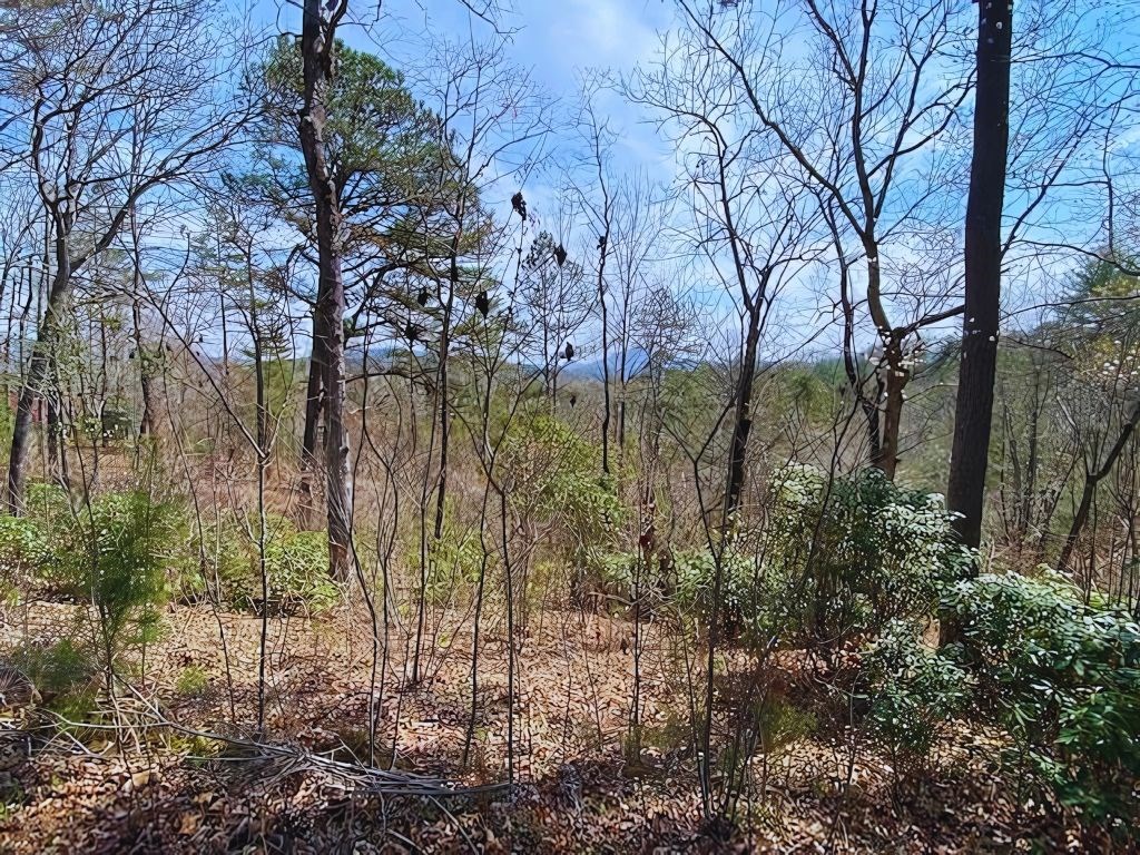 Lot 28 Brasstown Trails