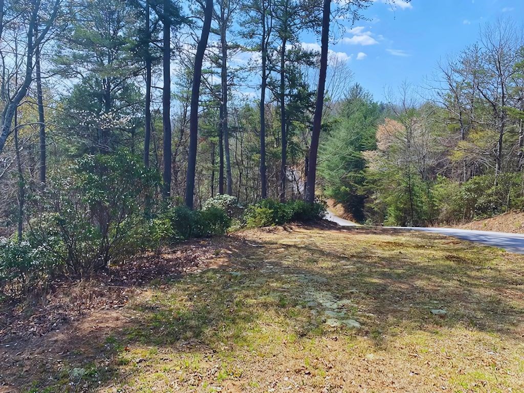 Lot 28 Brasstown Trails