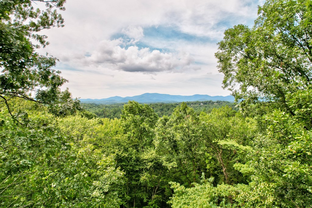 25 Briar Creek Drive