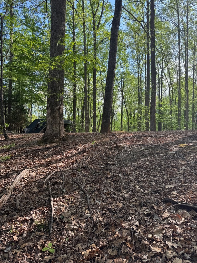 0 Mountain View Court