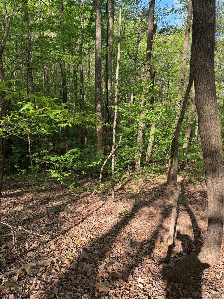 0 Mountain View Court