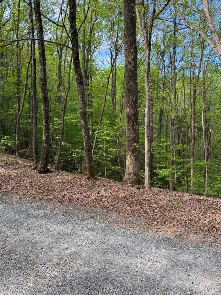 0 Mountain View Court