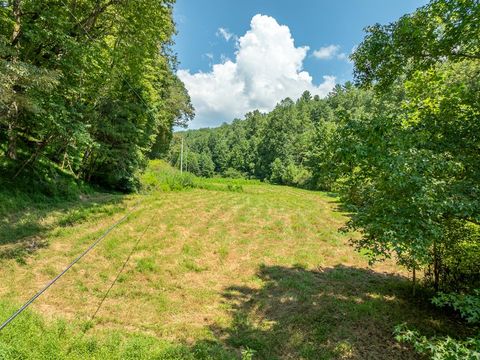 TR 3B Wolf Pen Gap Road Ellijay GA 30540
