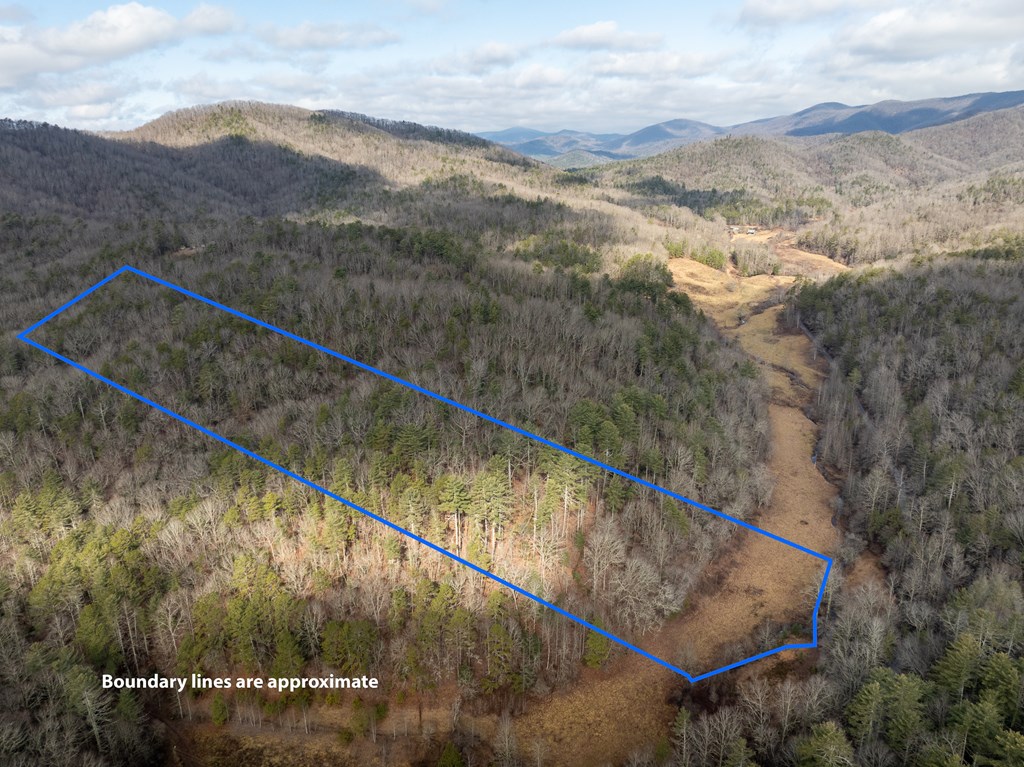 TR 3B Wolf Pen Gap Road