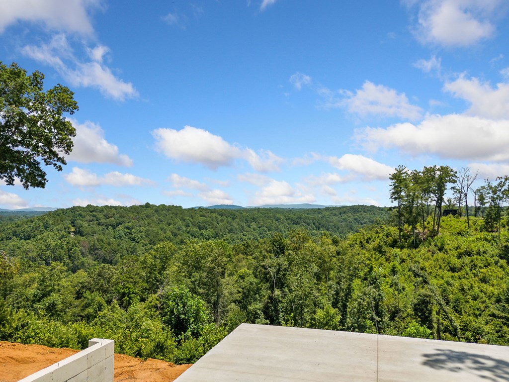 105 River Knoll Trail