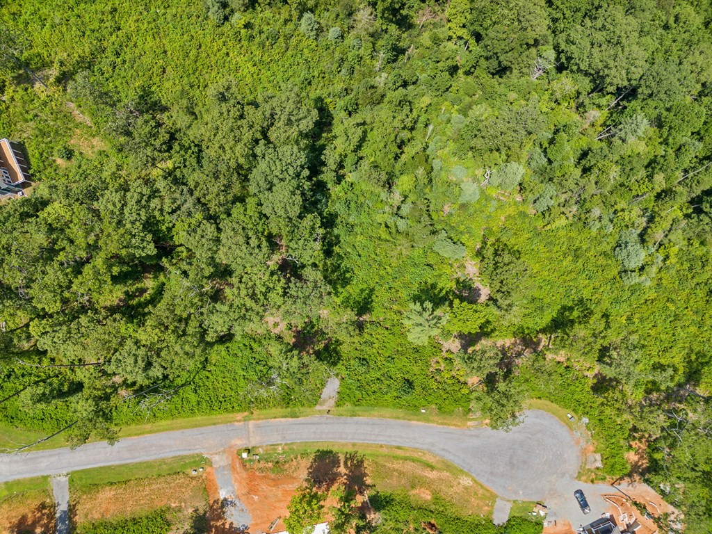 105 River Knoll Trail