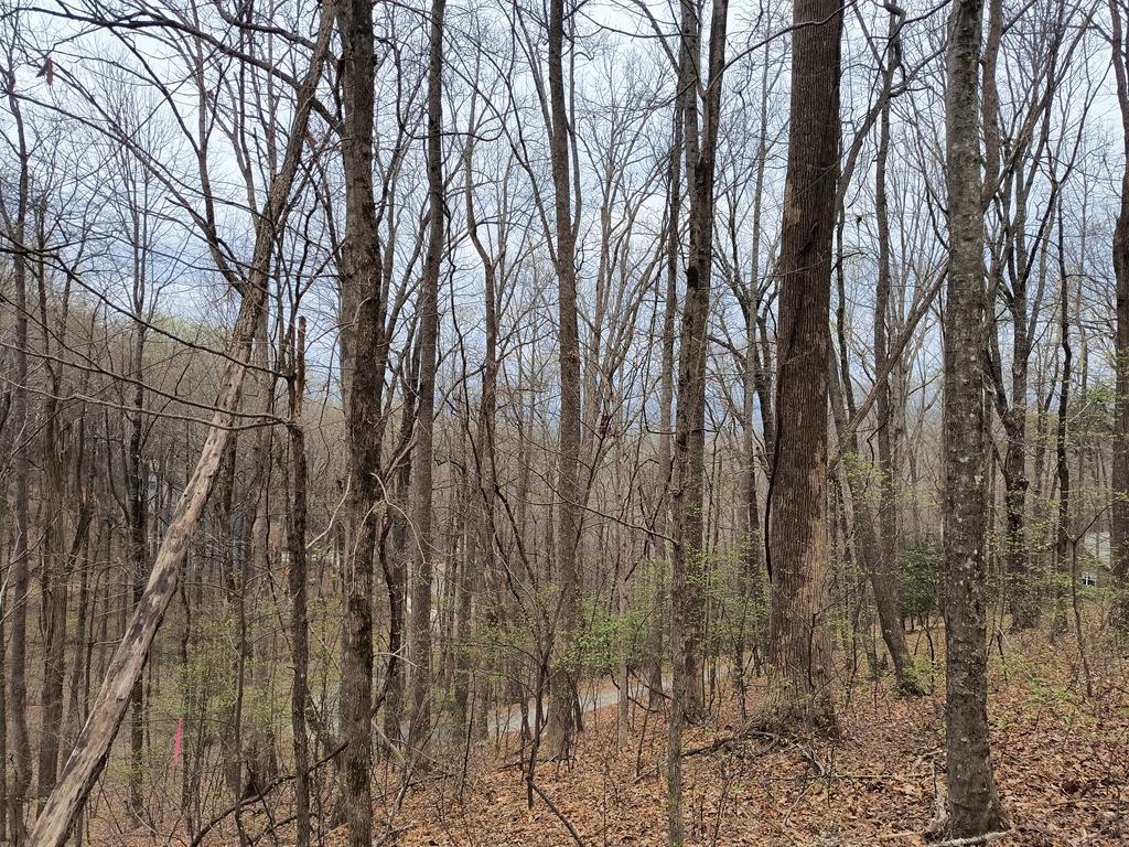 M99 Sleepy Hollow Road