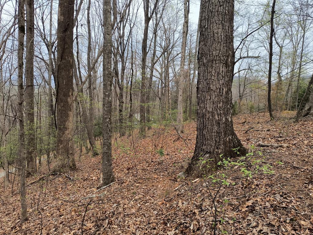 M99 Sleepy Hollow Road