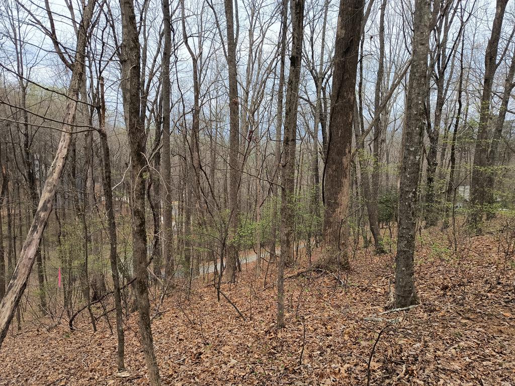 M99 Sleepy Hollow Road